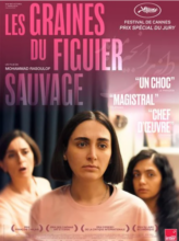 LES GRAINES DU FIGUIER SAUVAGE